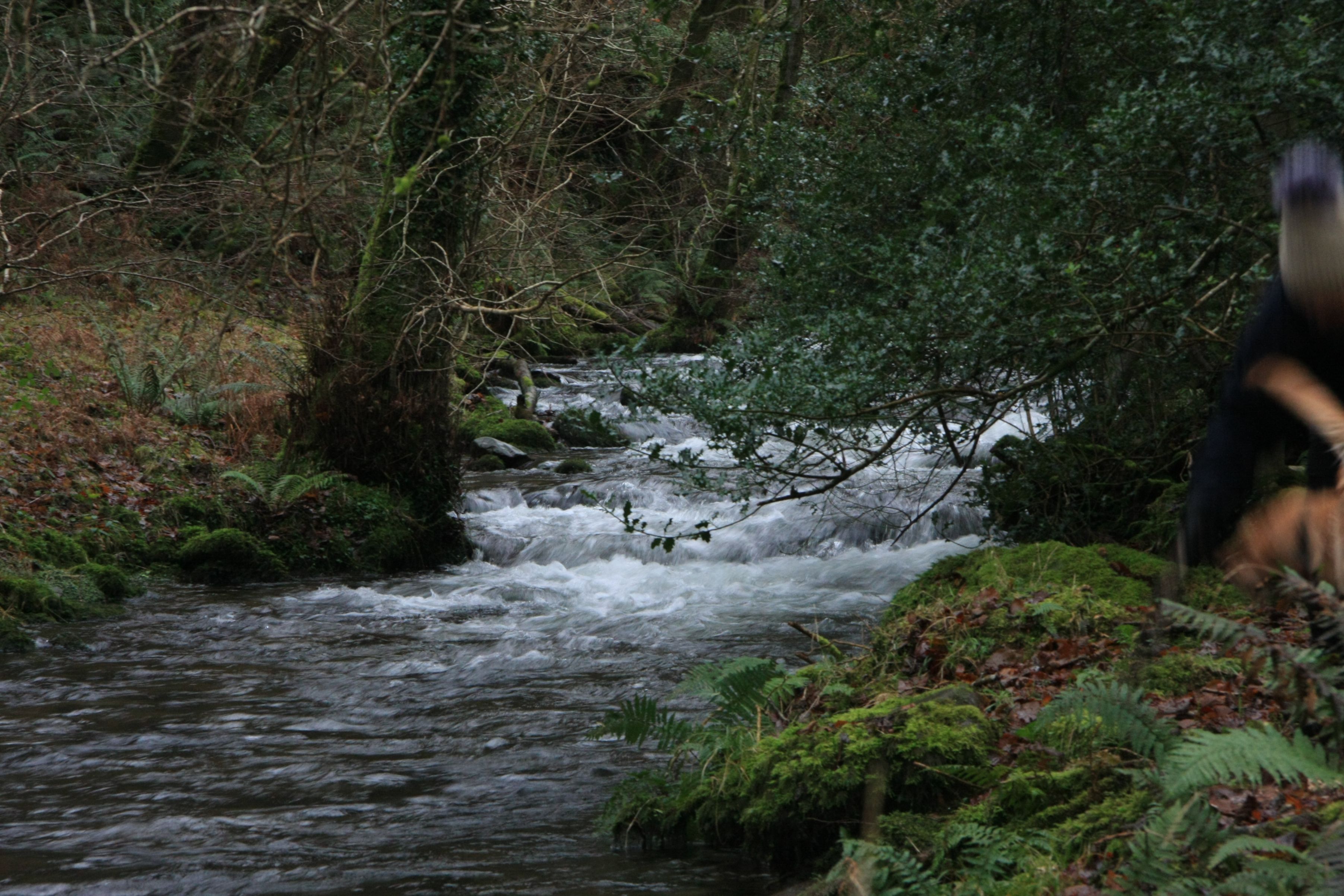 Christmas 2019 image 3