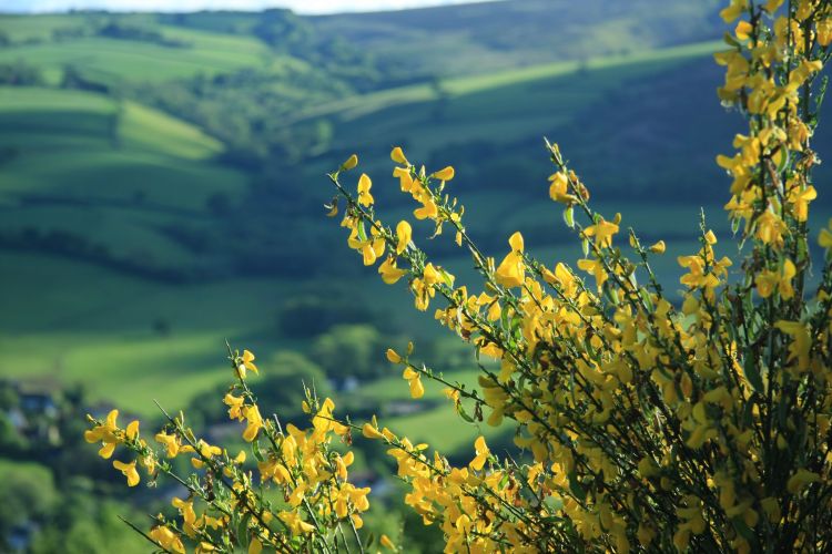 Easter Reflection 2020 image 2