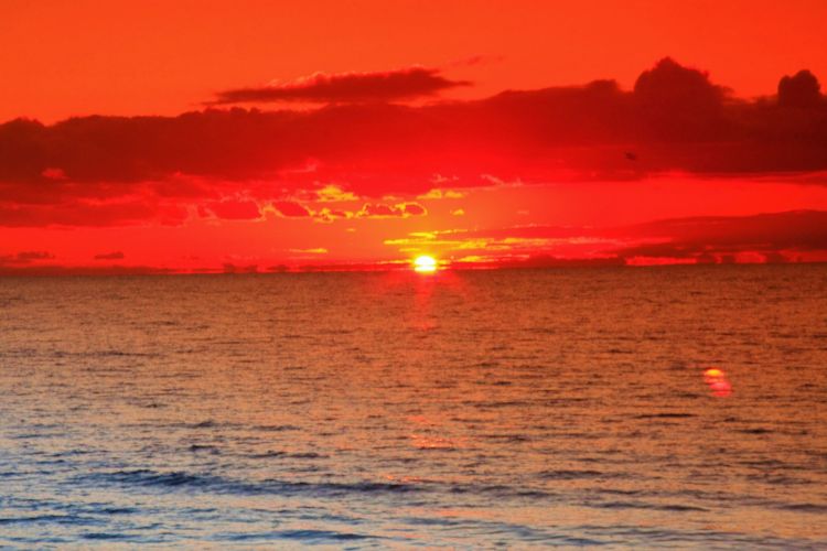 Pentecost Reflection 2020 image 1