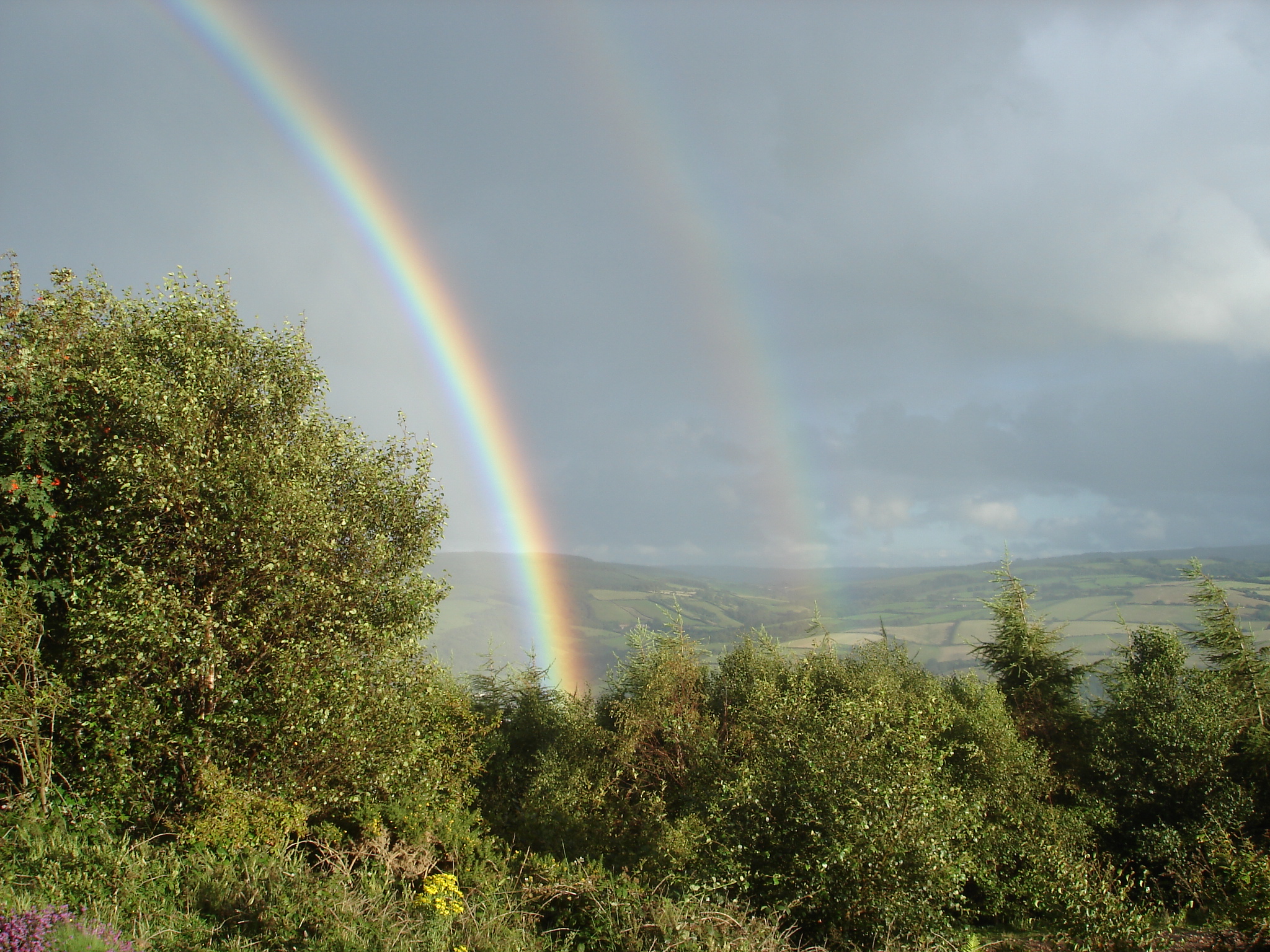 Unexpected journey image 1