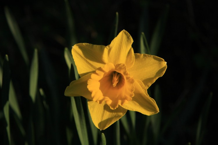 Mothering Sunday 100324 Image 1