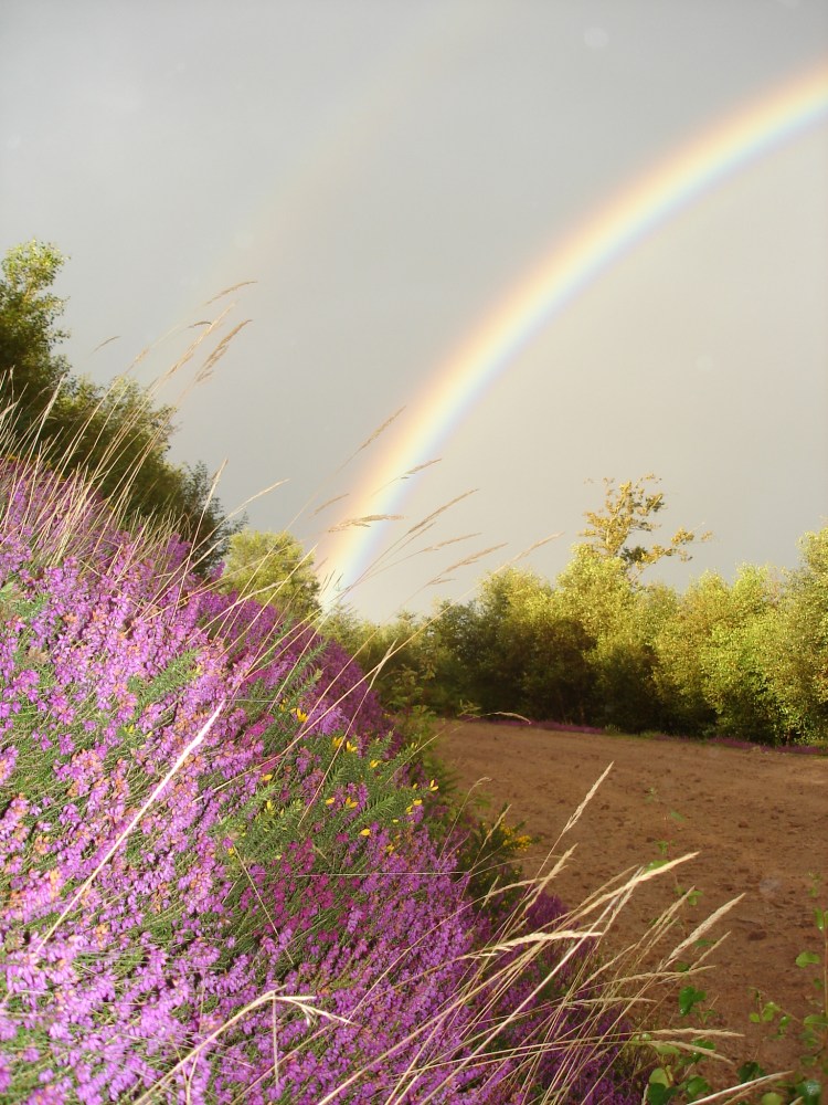 Mothering Sunday 100324 Image 4