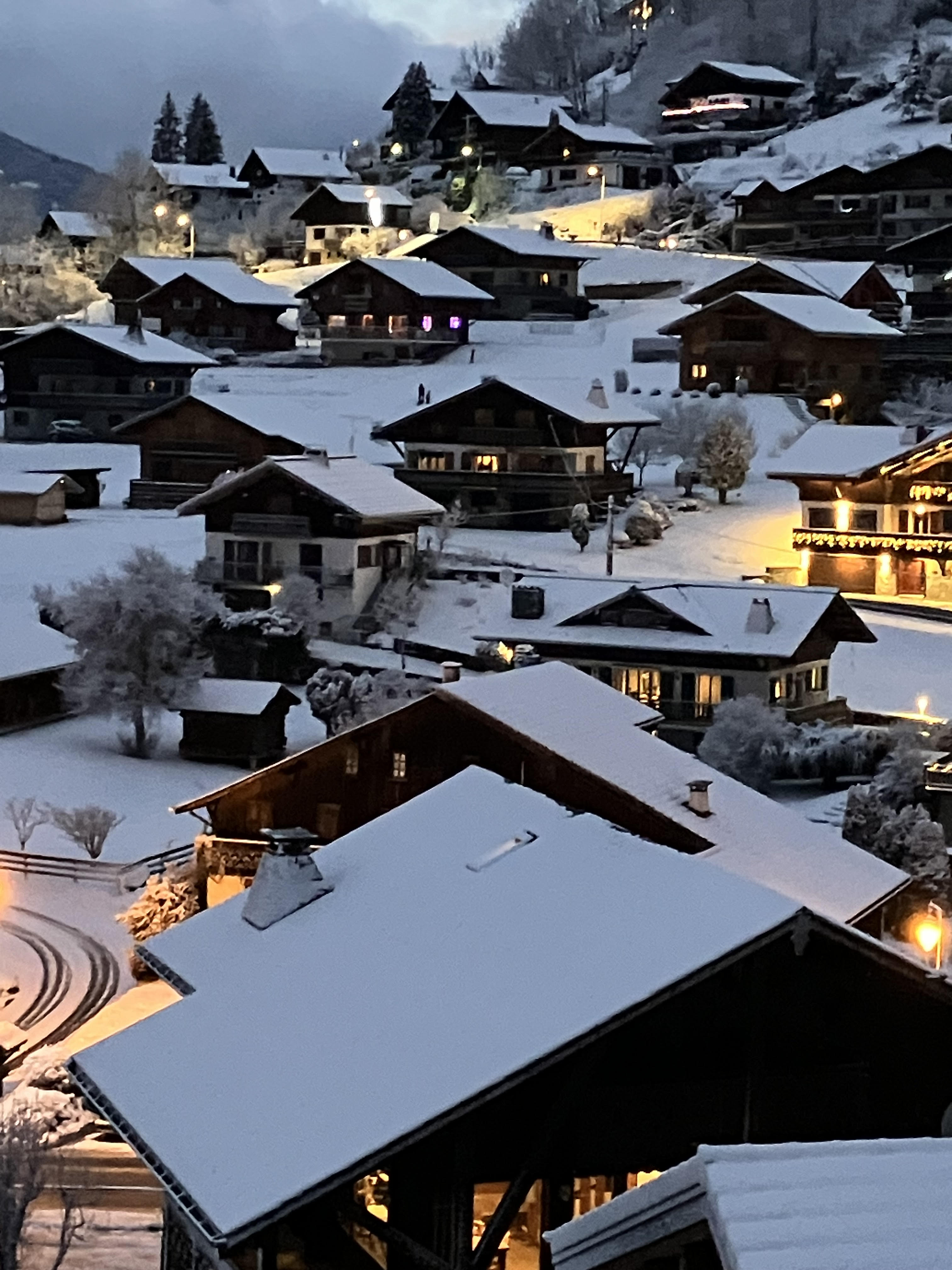 Christmas Reflection 2024 image