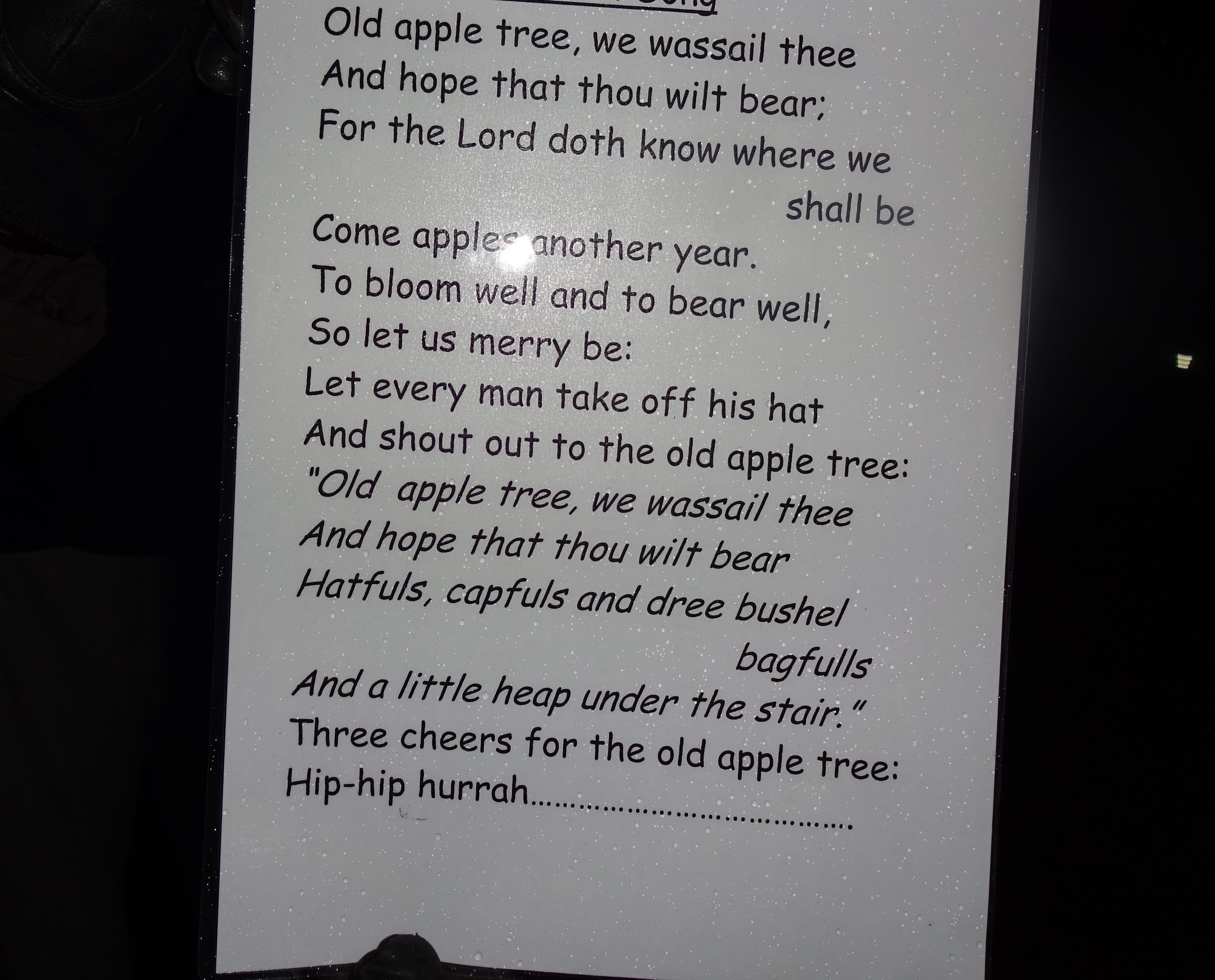 Wassail-SoP 120125 Image 3